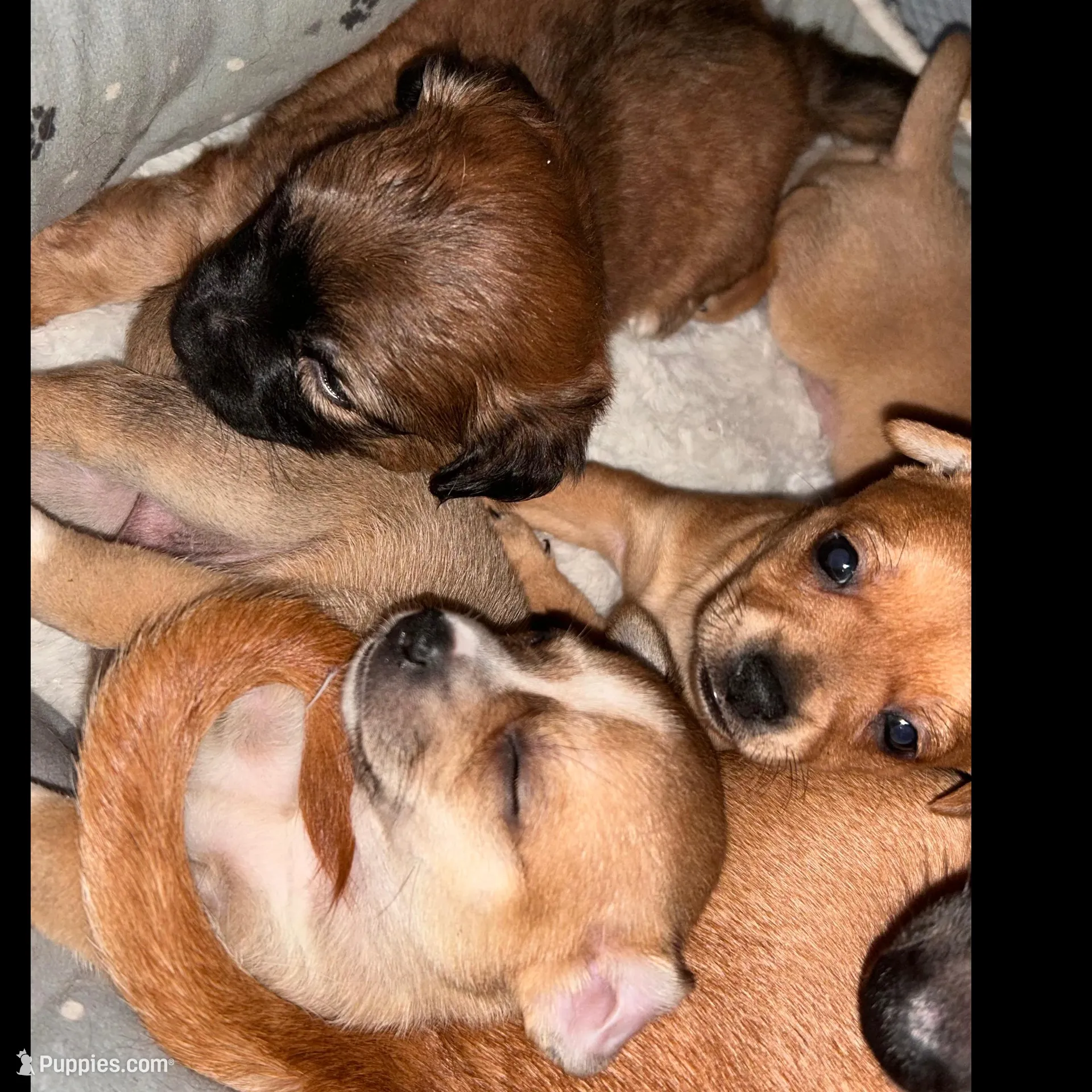 processed/e245f718-8e27-4789-ad4c-0ccb34223af9/facility/dcff74ba-2a79-4b0e-b887-5c4f76fdcb7b