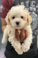 processed/e2531e57-1774-4955-a3b7-42c22b839080/listing/3c9d8090-1771-4a79-9299-e1e49bb35d74/1a25a682-3d42-48a4-b1c2-763c174ea073