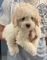 processed/e2531e57-1774-4955-a3b7-42c22b839080/listing/3c9d8090-1771-4a79-9299-e1e49bb35d74/1bcf44c0-ea18-46b1-b36d-67f70977eb43