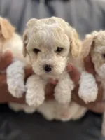 processed/e2531e57-1774-4955-a3b7-42c22b839080/listing/3c9d8090-1771-4a79-9299-e1e49bb35d74/29b2f5e4-1f5a-40ea-8745-10634f937b5d