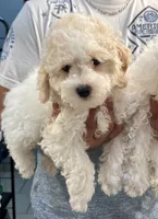 processed/e2531e57-1774-4955-a3b7-42c22b839080/listing/3c9d8090-1771-4a79-9299-e1e49bb35d74/8ef01786-dd9f-43aa-a7eb-7527a5bbe071