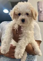 processed/e2531e57-1774-4955-a3b7-42c22b839080/listing/7ae46c10-ba67-49da-8b71-52c1986e44dd/dc10a229-0291-45bd-8ac2-f48a4b16b5ea