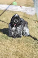 processed/e263f469-4ae8-4654-85b6-fe9739d6585b/facility/26173ba9-33fa-42c9-8ea9-84c341e2dca4