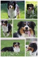 processed/e263f469-4ae8-4654-85b6-fe9739d6585b/facility/32c69db7-251c-4855-9cd3-a2a864b9ec2b