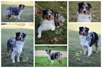 processed/e263f469-4ae8-4654-85b6-fe9739d6585b/facility/41261b12-34ae-4c80-ab9a-852b4c2f8e53