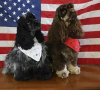 processed/e263f469-4ae8-4654-85b6-fe9739d6585b/facility/9a1f3d3a-83d6-4dcf-8561-cd4afbe551e0