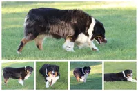 processed/e263f469-4ae8-4654-85b6-fe9739d6585b/facility/a9d0816f-51db-47ef-9ae5-b9273dd35572