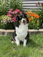 processed/e263f469-4ae8-4654-85b6-fe9739d6585b/facility/ae28db6d-9db2-4cb6-9205-3456a7da0639