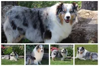 processed/e263f469-4ae8-4654-85b6-fe9739d6585b/facility/d7706ea9-8522-4de1-9456-e5d66fef5efd