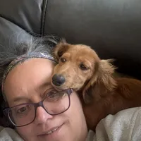 Oakley, a male Miniature Dachshund for sale in Broomfield, CO – Photo 6 of 10