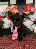 processed/e2769286-e25c-4263-999e-972068878e9f/listing/0740e6be-14f6-4b2e-ad59-6ef48ef8bc8b/01d60e49-952e-419c-913e-0551489ba377