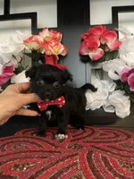 processed/e2769286-e25c-4263-999e-972068878e9f/listing/0740e6be-14f6-4b2e-ad59-6ef48ef8bc8b/31be180c-c8eb-43f0-a5fd-a6c4a6bdf899