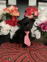 processed/e2769286-e25c-4263-999e-972068878e9f/listing/0740e6be-14f6-4b2e-ad59-6ef48ef8bc8b/40f60ee0-3520-4b16-8e66-94115ebee2a2