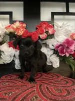 processed/e2769286-e25c-4263-999e-972068878e9f/listing/0740e6be-14f6-4b2e-ad59-6ef48ef8bc8b/b23e7f81-7ae8-4f3f-9a2c-7cb0fd6070be