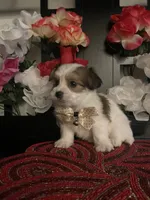 processed/e2769286-e25c-4263-999e-972068878e9f/listing/33042575-f869-45d1-8769-c9b519979dc1/56df7586-579f-4695-aed7-79aff5448007