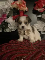 processed/e2769286-e25c-4263-999e-972068878e9f/listing/33042575-f869-45d1-8769-c9b519979dc1/fa72ccee-9830-4e4c-82c8-89d79567b7c5