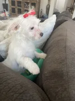 processed/e2769286-e25c-4263-999e-972068878e9f/listing/68bec8ee-fc58-43ad-9e79-c56ec9457bcd/fde42662-22cf-4d3c-af6c-629824121dd6