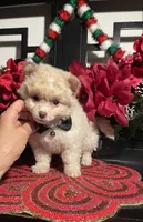 processed/e2769286-e25c-4263-999e-972068878e9f/listing/6be39de9-b439-459c-8994-fd8dc719b4ee/5e6840f3-22f0-42b4-ac20-e3b5c82c1589