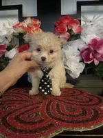 processed/e2769286-e25c-4263-999e-972068878e9f/listing/6be39de9-b439-459c-8994-fd8dc719b4ee/70fe6a72-4048-454b-a313-868625707e57