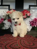 processed/e2769286-e25c-4263-999e-972068878e9f/listing/6be39de9-b439-459c-8994-fd8dc719b4ee/746ad39d-60aa-4d2f-92a1-95b26d709002