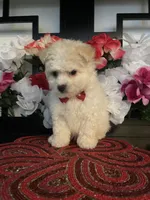 processed/e2769286-e25c-4263-999e-972068878e9f/listing/6be39de9-b439-459c-8994-fd8dc719b4ee/d3bd411c-4350-4c50-9c32-a1b2037af462