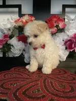 processed/e2769286-e25c-4263-999e-972068878e9f/listing/6be39de9-b439-459c-8994-fd8dc719b4ee/e774f2b5-1c7f-4682-a303-e9bbbb569174