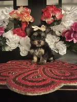 processed/e2769286-e25c-4263-999e-972068878e9f/listing/9f83e155-360c-4bb1-81ac-e029c7b91307/d505427b-3809-4052-892e-d7e5634458e3