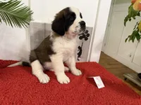 processed/e277c876-0bd6-4238-bfd6-6b4141187935/listing/461d06c7-e0b2-4cc4-82c3-1c62c277462a/30afc992-1480-491a-a242-3dcbb7523676