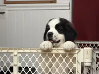 processed/e277c876-0bd6-4238-bfd6-6b4141187935/listing/461d06c7-e0b2-4cc4-82c3-1c62c277462a/502c35f4-1fd6-43fe-801c-da757c35638f