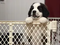 processed/e277c876-0bd6-4238-bfd6-6b4141187935/listing/461d06c7-e0b2-4cc4-82c3-1c62c277462a/50593662-46f3-49ae-8359-86e9f79ea9a2