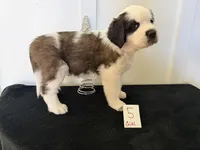 processed/e277c876-0bd6-4238-bfd6-6b4141187935/listing/7df1ef57-bb9e-4123-b08d-881e486f84e7/245a5984-9962-46c9-b7fc-12fb3e3bd9ca