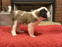 processed/e277c876-0bd6-4238-bfd6-6b4141187935/listing/7df1ef57-bb9e-4123-b08d-881e486f84e7/29f3dc19-691f-4d96-9cfa-dbf8a65bc69f