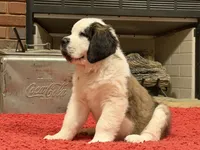 processed/e277c876-0bd6-4238-bfd6-6b4141187935/listing/7df1ef57-bb9e-4123-b08d-881e486f84e7/2c654e3d-b149-4e38-8409-3527ba46e31b