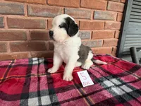 processed/e277c876-0bd6-4238-bfd6-6b4141187935/listing/7df1ef57-bb9e-4123-b08d-881e486f84e7/41c803c4-d06d-482b-8387-2dda6eb7537d