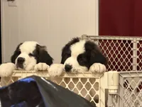 processed/e277c876-0bd6-4238-bfd6-6b4141187935/listing/7df1ef57-bb9e-4123-b08d-881e486f84e7/762abf1c-d893-48c8-8f15-f328d864094e