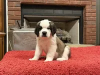 processed/e277c876-0bd6-4238-bfd6-6b4141187935/listing/7df1ef57-bb9e-4123-b08d-881e486f84e7/8dd58358-5c84-48ff-9e3f-146514f60d5a