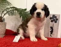 processed/e277c876-0bd6-4238-bfd6-6b4141187935/listing/7df1ef57-bb9e-4123-b08d-881e486f84e7/f58f7a65-f10f-4238-97a5-4790d65f752f