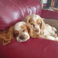 processed/e28349a2-c21c-4281-88c9-20246deb5d86/facility/8076ac29-e410-4241-845b-384c1ac198b3