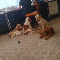 processed/e28349a2-c21c-4281-88c9-20246deb5d86/facility/a0d28f24-b5b0-4a78-9759-f5e1fcc96ea0