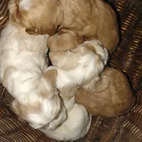 processed/e28349a2-c21c-4281-88c9-20246deb5d86/facility/b436e894-2d18-4742-95c6-8712382a1ea6