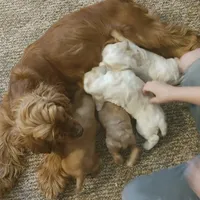 processed/e28349a2-c21c-4281-88c9-20246deb5d86/facility/e1a5b856-1f3b-46cb-bc5e-3a2b77c6ae5b