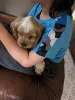 processed/e28349a2-c21c-4281-88c9-20246deb5d86/listing/2c062292-b322-49da-a6cf-bf435270d897/4540631d-1acc-46f5-965b-378a4cb2b609