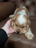 processed/e28349a2-c21c-4281-88c9-20246deb5d86/listing/2c062292-b322-49da-a6cf-bf435270d897/6f885c74-97f3-4e49-ab29-78020b6944b1