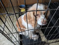 processed/e28349a2-c21c-4281-88c9-20246deb5d86/listing/2c062292-b322-49da-a6cf-bf435270d897/df078595-c56c-4122-8377-cd1a1b2464fd