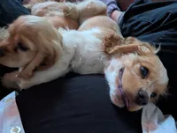 processed/e28349a2-c21c-4281-88c9-20246deb5d86/listing/2c062292-b322-49da-a6cf-bf435270d897/fb811247-94a3-4e33-af65-c25d73efeadb