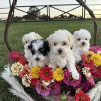 processed/e2863601-c141-4856-ac7e-c64bcab0c9ce/facility/4783f2ef-b9a4-459b-9fde-82db1c1cb351