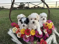 processed/e2863601-c141-4856-ac7e-c64bcab0c9ce/facility/4783f2ef-b9a4-459b-9fde-82db1c1cb351