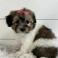 processed/e2863601-c141-4856-ac7e-c64bcab0c9ce/facility/498f23cc-5a89-4d46-9795-dc77d9dcb574