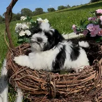 processed/e2863601-c141-4856-ac7e-c64bcab0c9ce/facility/4b78548b-8f38-41d6-ab14-abf2e2c8d939