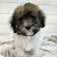 processed/e2863601-c141-4856-ac7e-c64bcab0c9ce/facility/5d364686-25bf-4f44-a829-d76fbec9d52a